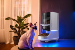 Best Gadgets for Home 2